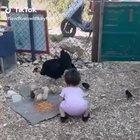 You mess with the chick you get the kick