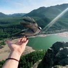 Hello little friend!