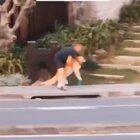 When your dog is done with walk