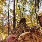 Well someone has a dinosaur fetish