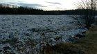 Ice flowing down North Saskatchewan River in Edmonton ~ 9pm Apr 21/2020