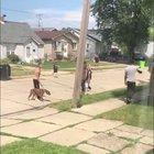 Yo wtf ?!?!? Guy unleashes dog during fight. (Sorry no audio)