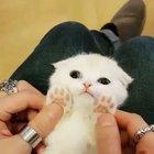 Look at those little toe beans.