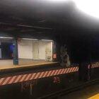 Another day on the train