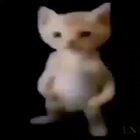 rap_de_dragonball.mp3