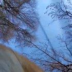 Fox runs away with phone amd tries to bury it(turn up volume)