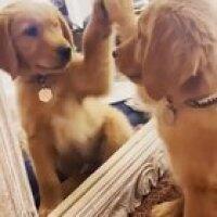 That other guy is cute, but he's got to go