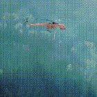 Surgical precision...