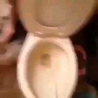 I'll come right now!