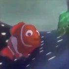 Counter terrorists win