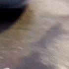 Shouldn’t of woke him up..