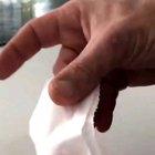 Saving toilet paper level: no thank you