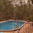 They'll take whatever water they can get: Green Wattle Creek, NSW