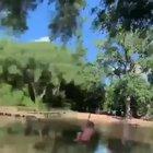 This is what boys do in their free time