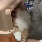 I’m not drunk, you’re drunk..