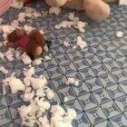 Not sure what to say...