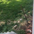 Calling the kittens after work.