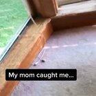 I believe that was not the first time they got caught