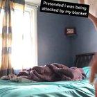 Humans don't deserve doggos