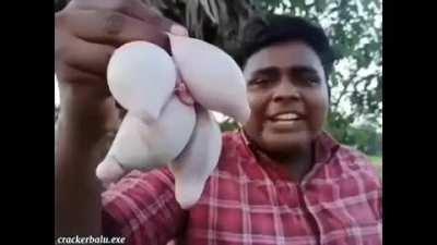 Wokkali mashup ft.Coolip and clowns