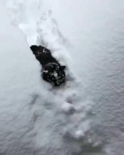 Snow idea why I did that.