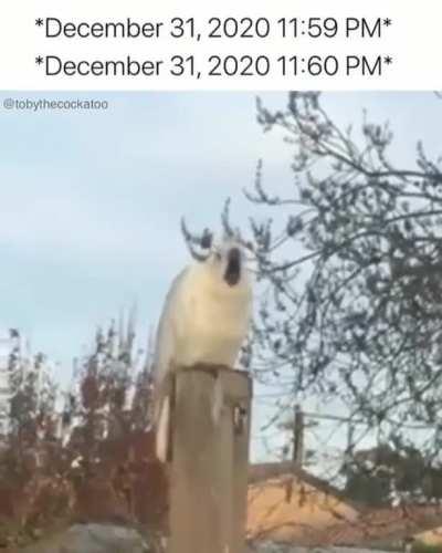 Esse é o medo de todos