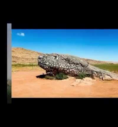 Could petrifaction be a reality of our past?