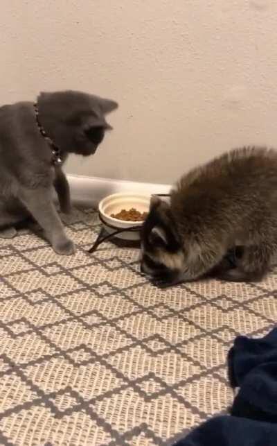 He Couldn’t Keep His Hands To Himself