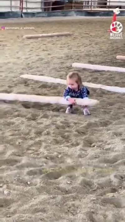 2 Year Old, Bonding With Horses