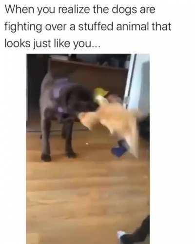 Watch the cat's soul leave her body