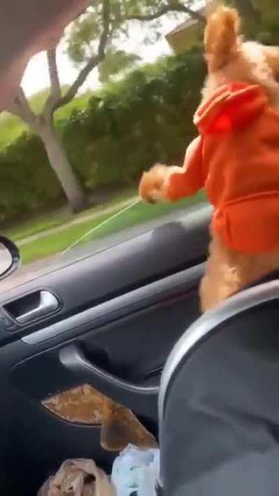 Red bull gives you heartburn ...