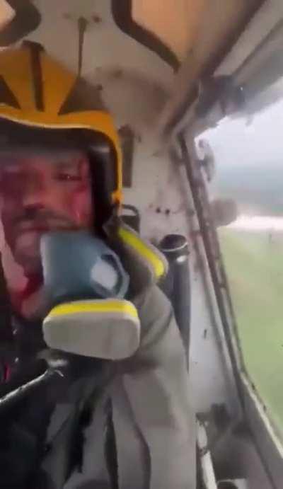 turkey crashes into plane while flying