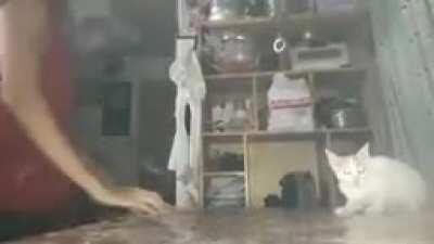 Shadow clone jutsu!!