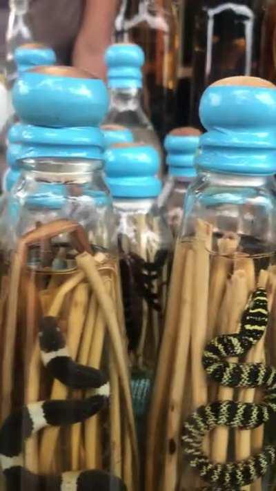 Critter whiskey for sale at a market in rural Laos.