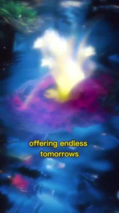 The real treasure with Fredvog the Gnome