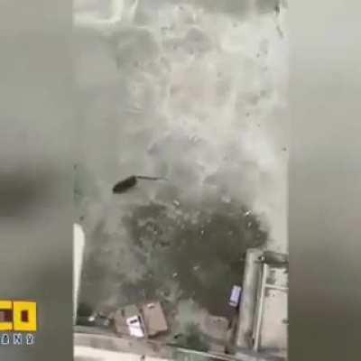 NOOOO fan de Nimu no te tocaba