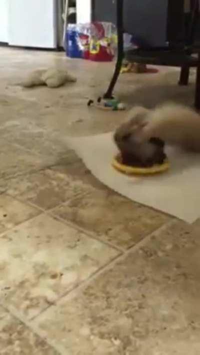 Getting overly excited about his dinner