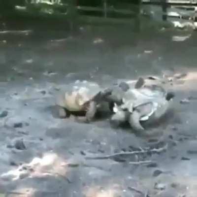 I got your back, bro.