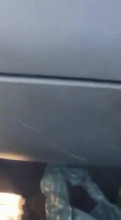 Car surfer falls off car and breaks his neck