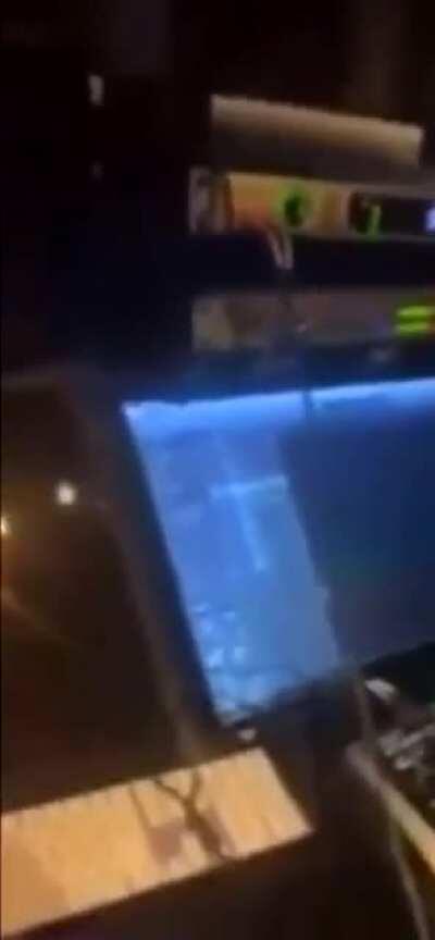 What the actual fuck is this