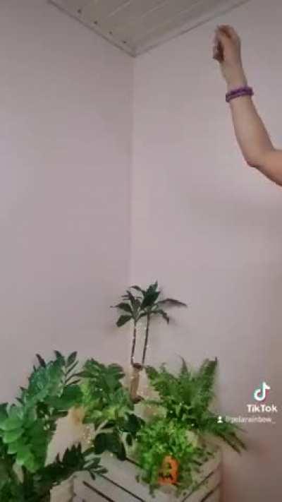 @polarainbow_ This is how to properly shut down the system. heh