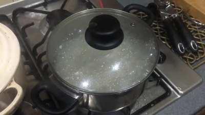 My rice is glitching.