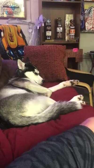 Wonder what she’s dreaming?