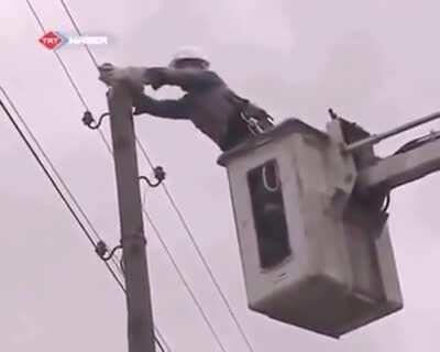 Electrician fired after promoting animal cruelty by leaving them on electrical posts