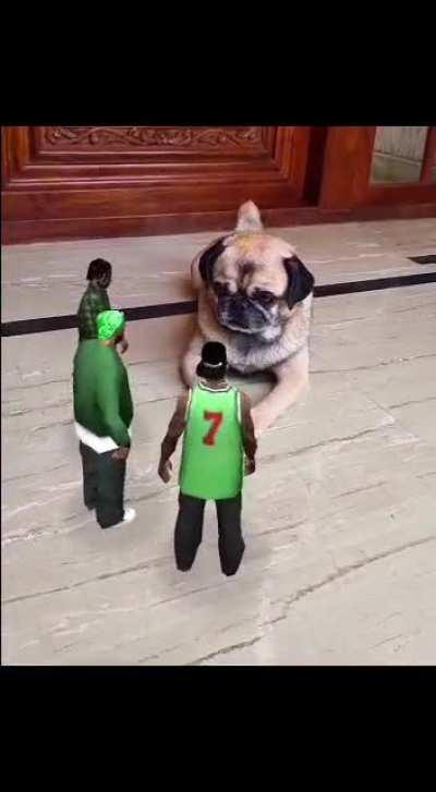 What are they planning?