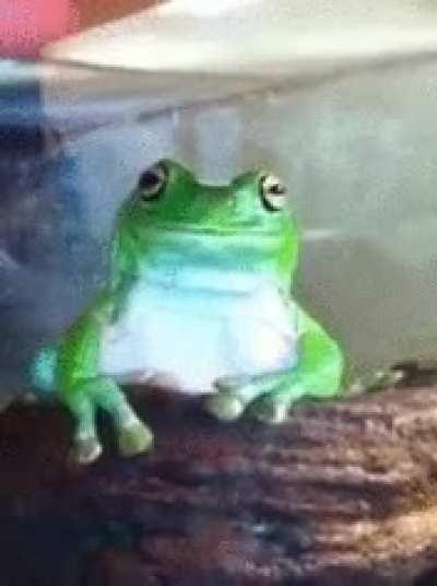 I've been watching this gif for hours now!