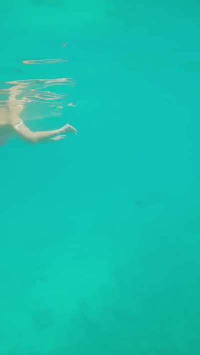 Polina Malinovskaya - Swimming with the Sharks in a Pink Bikini (IG Story Clip)