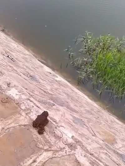 Bro literally just had to jump.😭😭😭