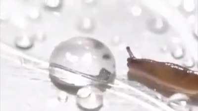 Thirsty drink gets a slug