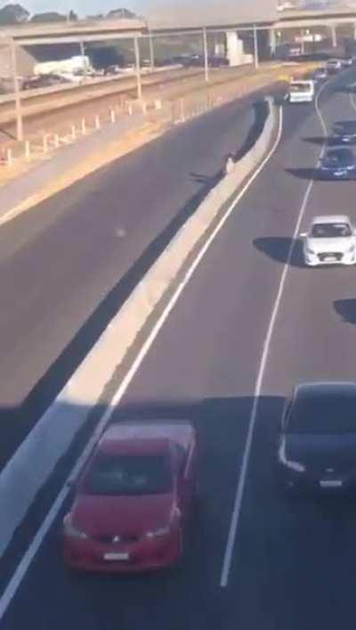 Kids crossing the Freeway near Cockburn Train Station